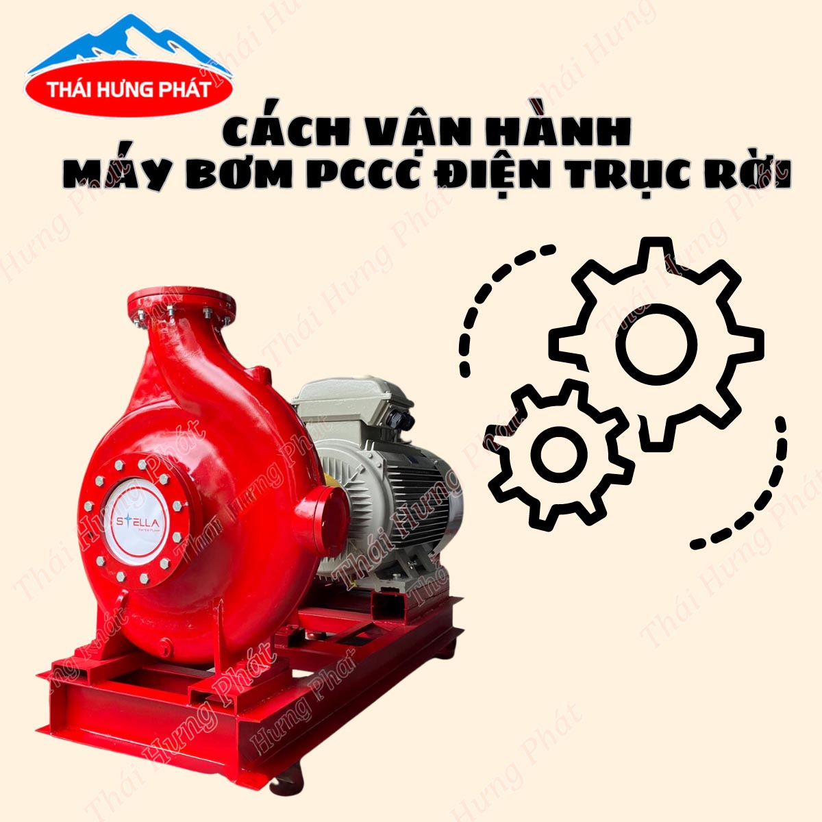 Hướng dẫn vận hành máy bơm chữa cháy Stella điện trục rời an toàn