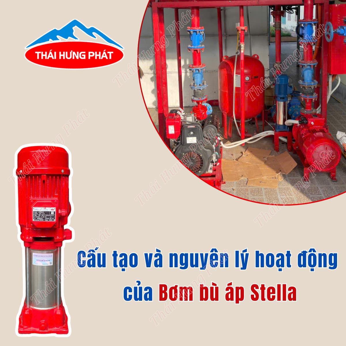 Cấu tạo và nguyên lý hoạt động của bơm bù áp Stella