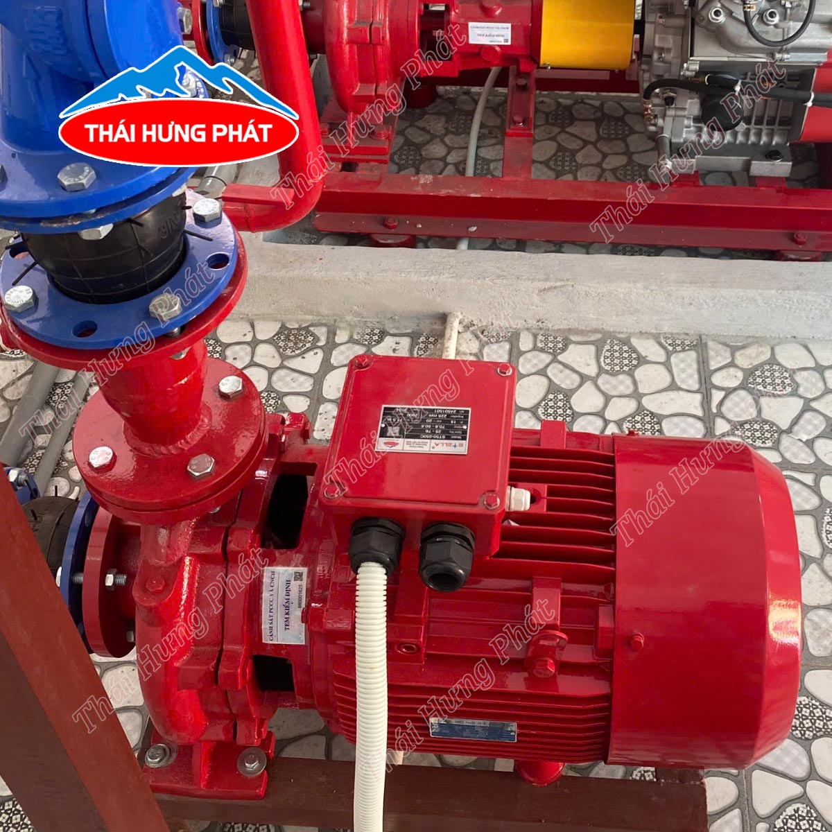 Máy bơm chữa cháy điện Stella trục liền chính hãng, giá tốt
