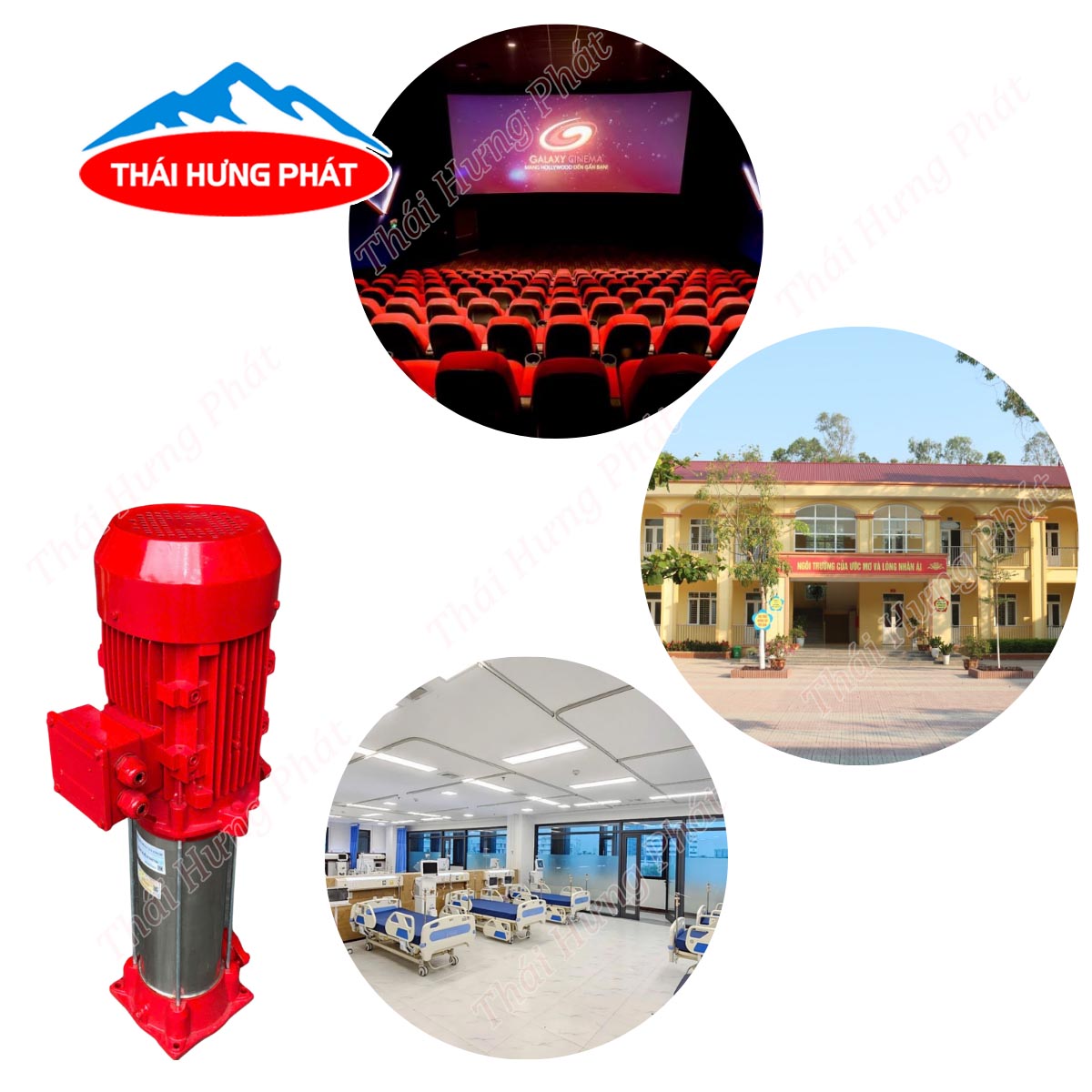 Vì sao máy bơm trục đứng Stella được nhiều công trình lựa chọn?